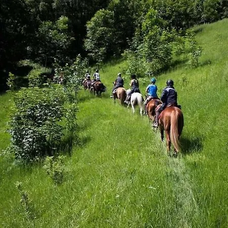 - Terme, Vicino A Mondole